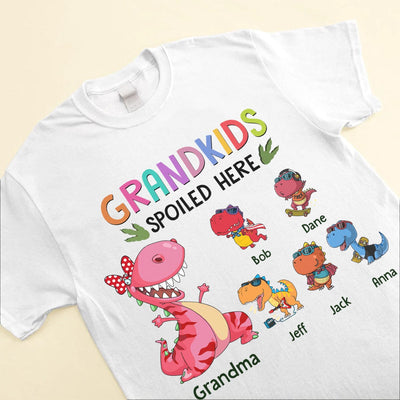 Customized Grandma Nanasaurus Dinosaur Grandkids Spoiled Here Funny Gift Tshirt Hoodie HLD21JUN23NA1