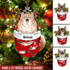 Cat In Snow Pocket Christmas Ornament Personalized PM27SEP22CA1 Acrylic Ornament Humancustom - Unique Personalized Gifts Pack 1