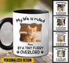 My life is ruled By tiny furry Overlords Personalized Accent Mug HTN14JAN23KL2 Accent Mug Humancustom - Unique Personalized Gifts Black