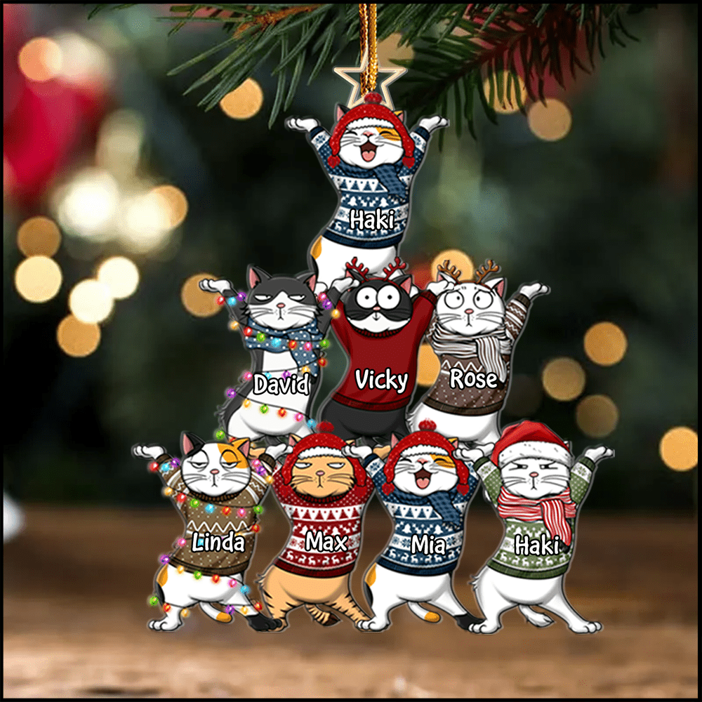 Personalized Funny Cat Acrylic Ornament For Christmas - NTD13OCT23KL1 Acrylic Ornament HumanCustom - Unique Personalized Gifts Made Just for You 