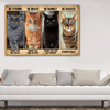 Cat Canvas 3 Size Template NVL-15VA007 Dreamship 12x8in