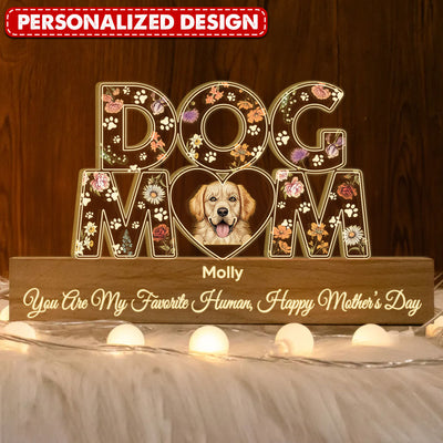 You Are My Favorite Human - Gifts For Dog Lovers Personalized Acrylic Plaque LED Lamp Night Light NVL10APR24TP2