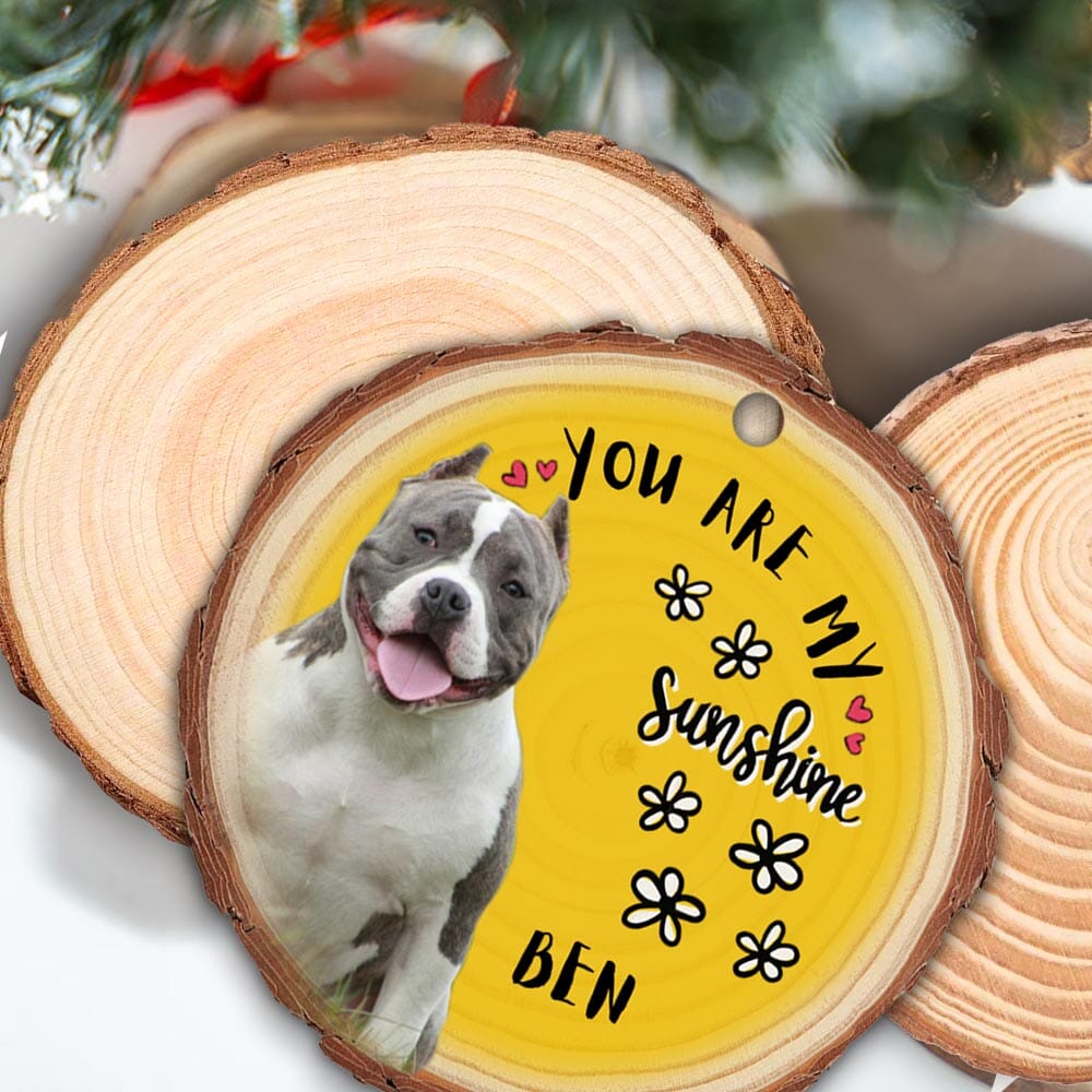 You Are My Sunshine Upload Pet Photo Personalized Wood Custom Shape Ornament VTX03NOV23NA1 Wood Custom Shape Ornament HumanCustom - Unique Personalized Gifts Made Just for You 