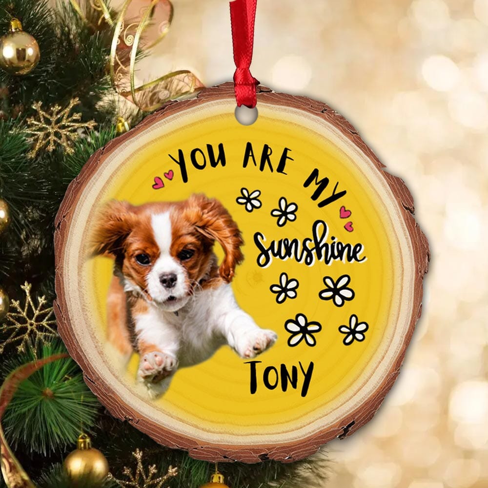 You Are My Sunshine Upload Pet Photo Personalized Wood Custom Shape Ornament VTX03NOV23NA1 Wood Custom Shape Ornament HumanCustom - Unique Personalized Gifts Made Just for You Pack 1 