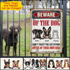 Customized Beware Of The Dog Don'T Trust The Cat Either Enter At Your Own Risk Printed Metal Sign Pm10Jun21Ct02 Printed Metal Sign Human Custom Store
