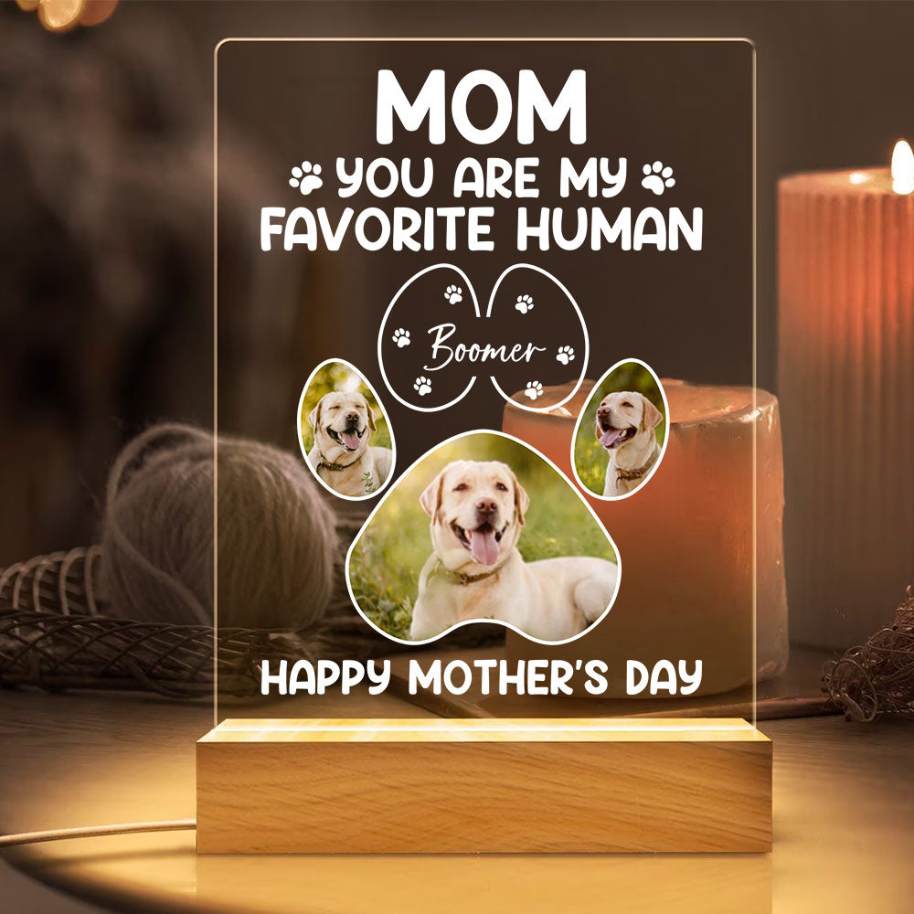 Custom Pet Photo Happy Mother's Day, Mom You Are My Favorite Human Personalized Acrylic Plaque Led Lamp Night LPL04APR24TP2