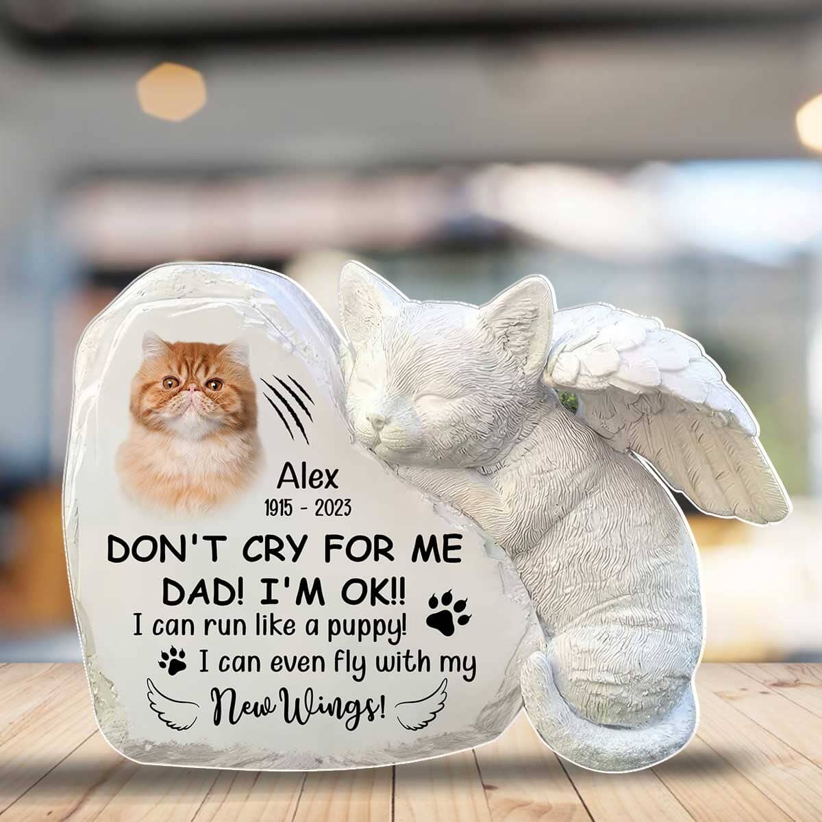 Memorial Custom Photo Kitten Pet Cat, Don't Cry For Me I'm OK Personalized Acrylic Plaque LPL20NOV23TP2 Acrylic Plaque HumanCustom - Unique Personalized Gifts Made Just for You 