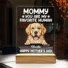 Cute Puppy Pet Dog Happy Mother's Day, Mom You Are My Favorite Human Personalized Acrylic Plaque Led Lamp Night LPL06APR24TP2
