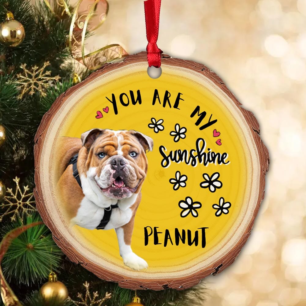 You Are My Sunshine Upload Pet Photo Personalized Wood Custom Shape Ornament VTX03NOV23NA1 Wood Custom Shape Ornament HumanCustom - Unique Personalized Gifts Made Just for You 